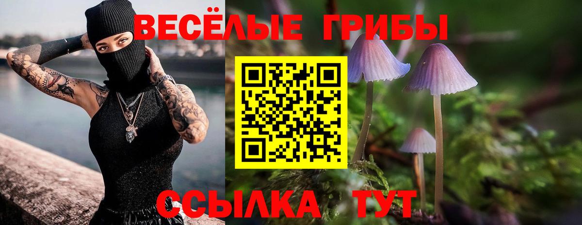 Псилоцибиновые грибы Cubensis Еманжелинск